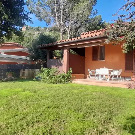 Rei's Sea, Vedi Il Mare Del Re!